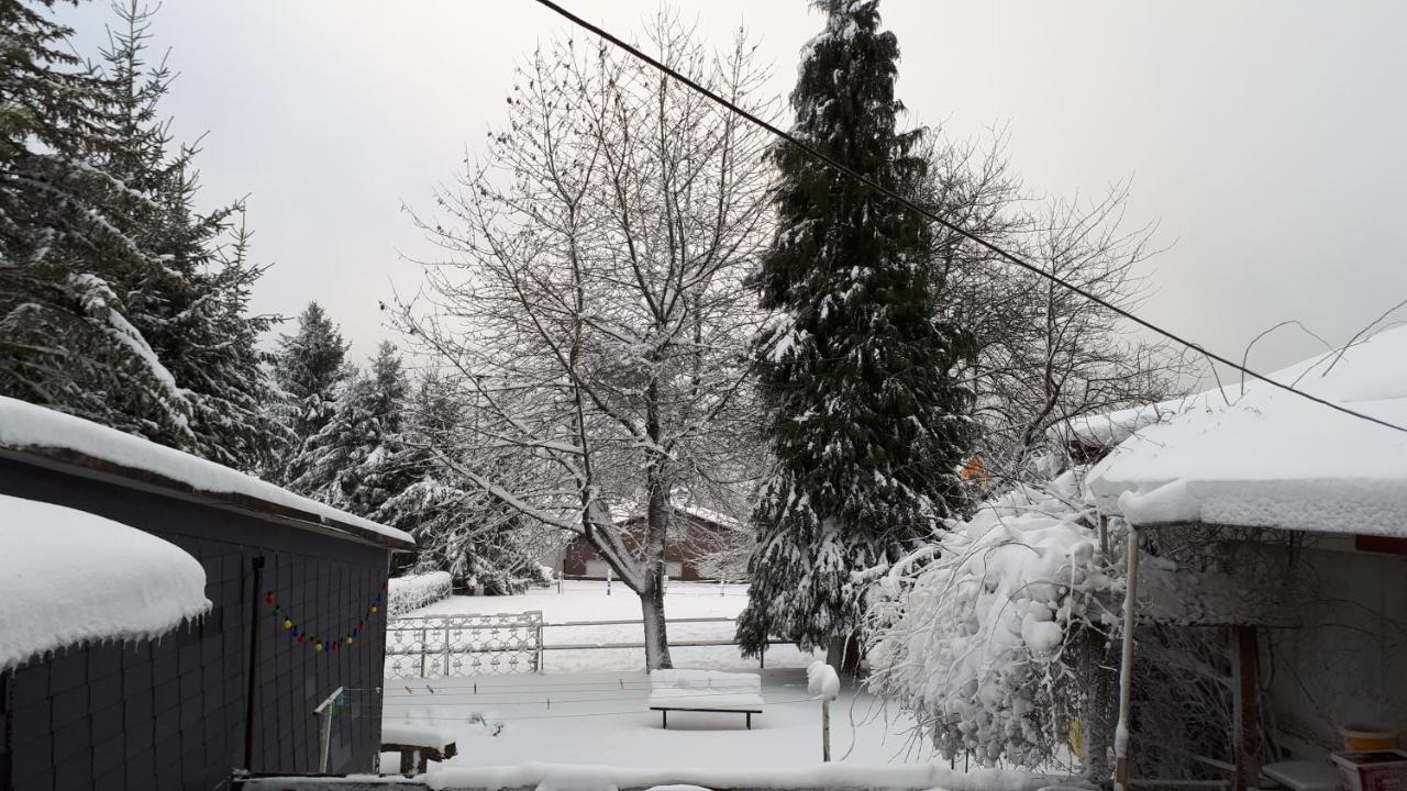 Stockhausen-Illfurth Ferienwohnungen! Kleine Bungalows Mit Terrasse! מראה חיצוני תמונה
